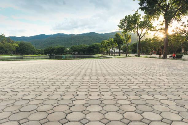 Best Driveway Pavers Near Me  in Hernando, FL