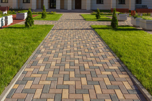 Best Local Driveway Pavers  in Hernando, FL
